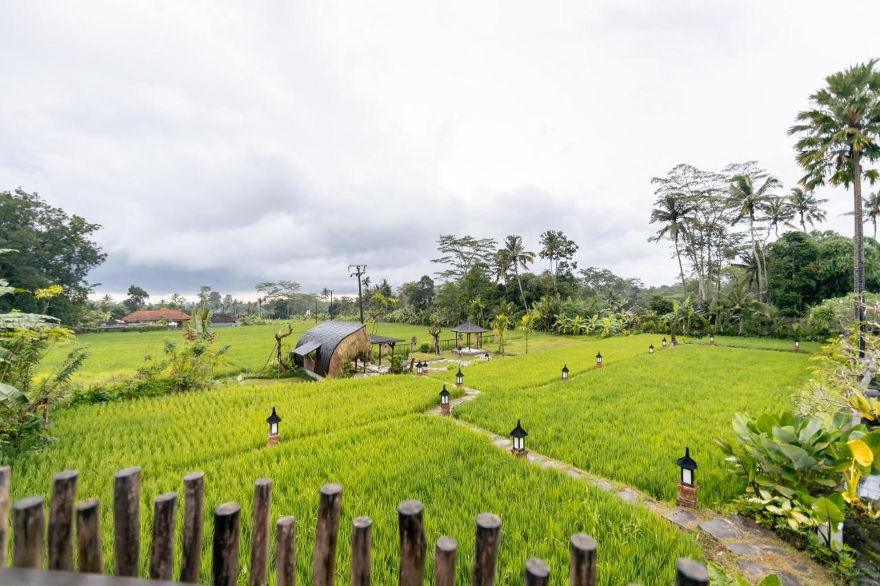 Anumana Village Ubud Zewnętrze zdjęcie