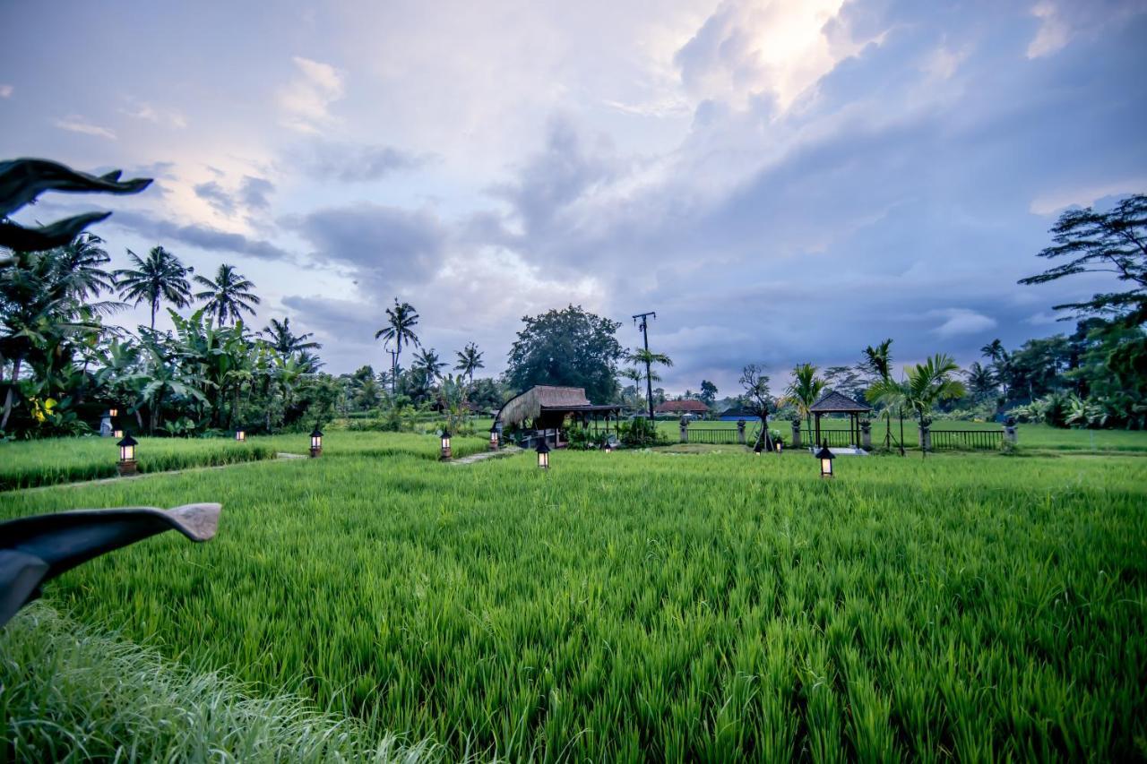 Anumana Village Ubud Zewnętrze zdjęcie