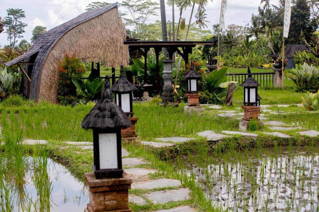 Anumana Village Ubud Zewnętrze zdjęcie