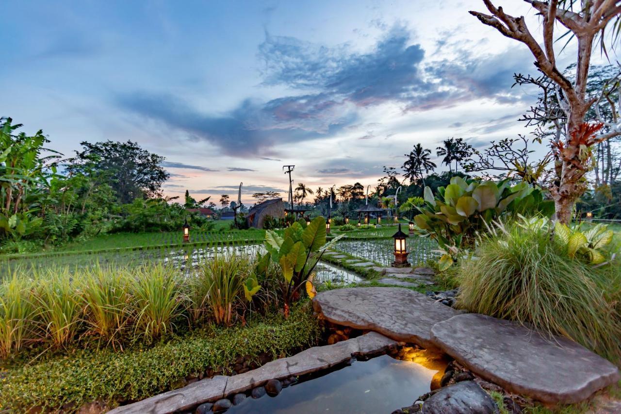 Anumana Village Ubud Zewnętrze zdjęcie