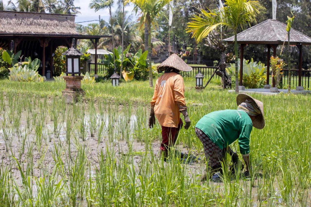 Anumana Village Ubud Zewnętrze zdjęcie