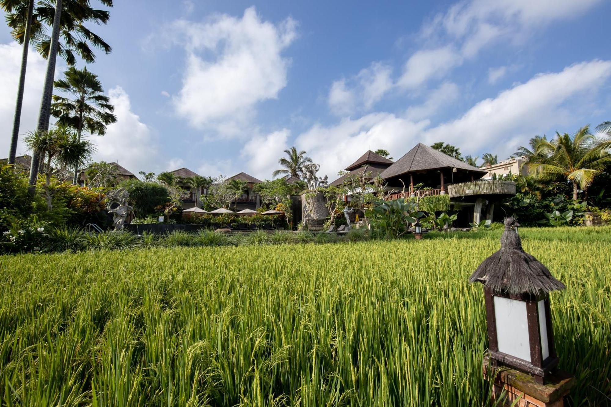 Anumana Village Ubud Zewnętrze zdjęcie